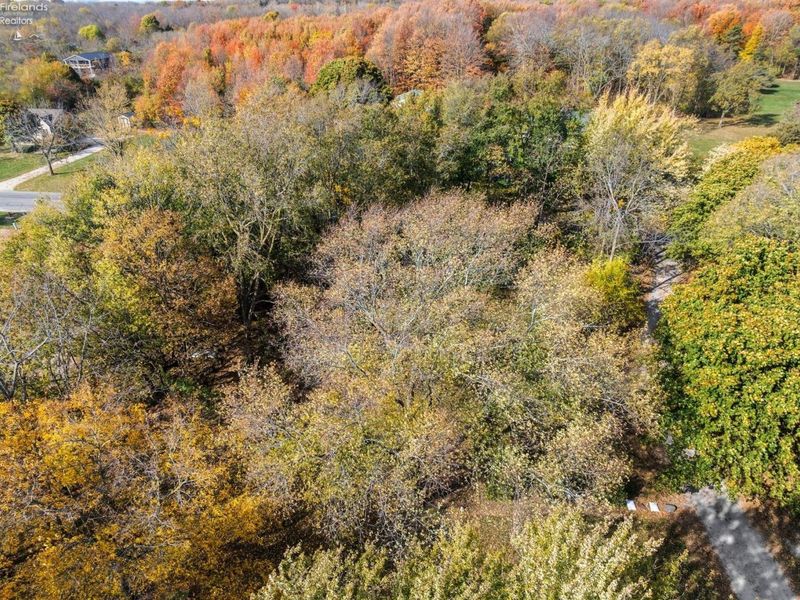 70 Niese Place, Put in Bay, OH 43456 Photo 76