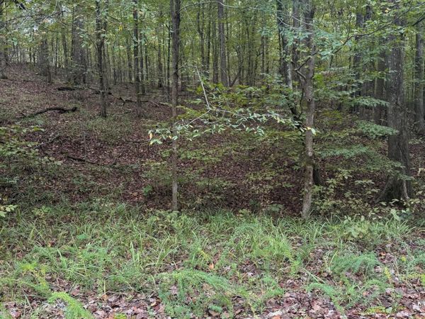 177 Jackson Cove, Saulsbury, TN 38067