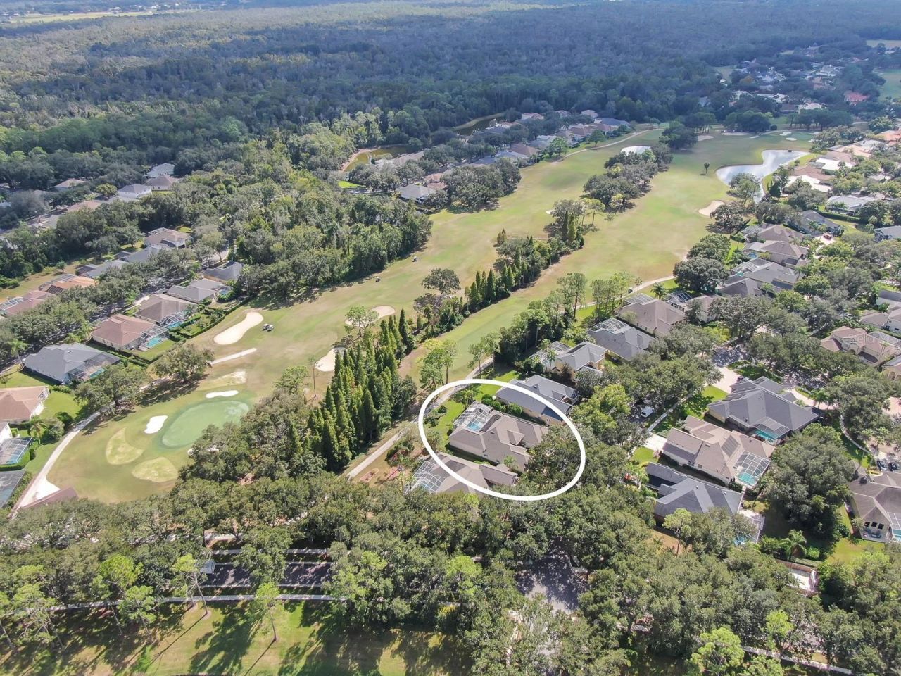 3504 Old Course Lane, Valrico, FL 33596 Photo