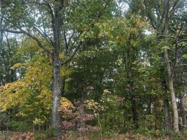 0 Ridgecrest Drive, Hillsboro, MO 63050