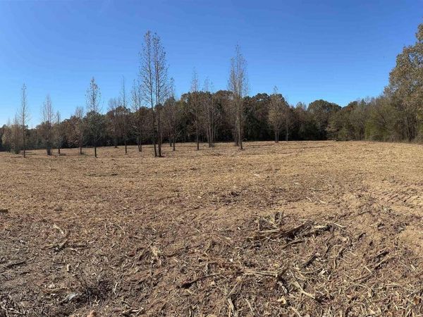 000 Little Red Mountain Road, Pangburn, AR 72121