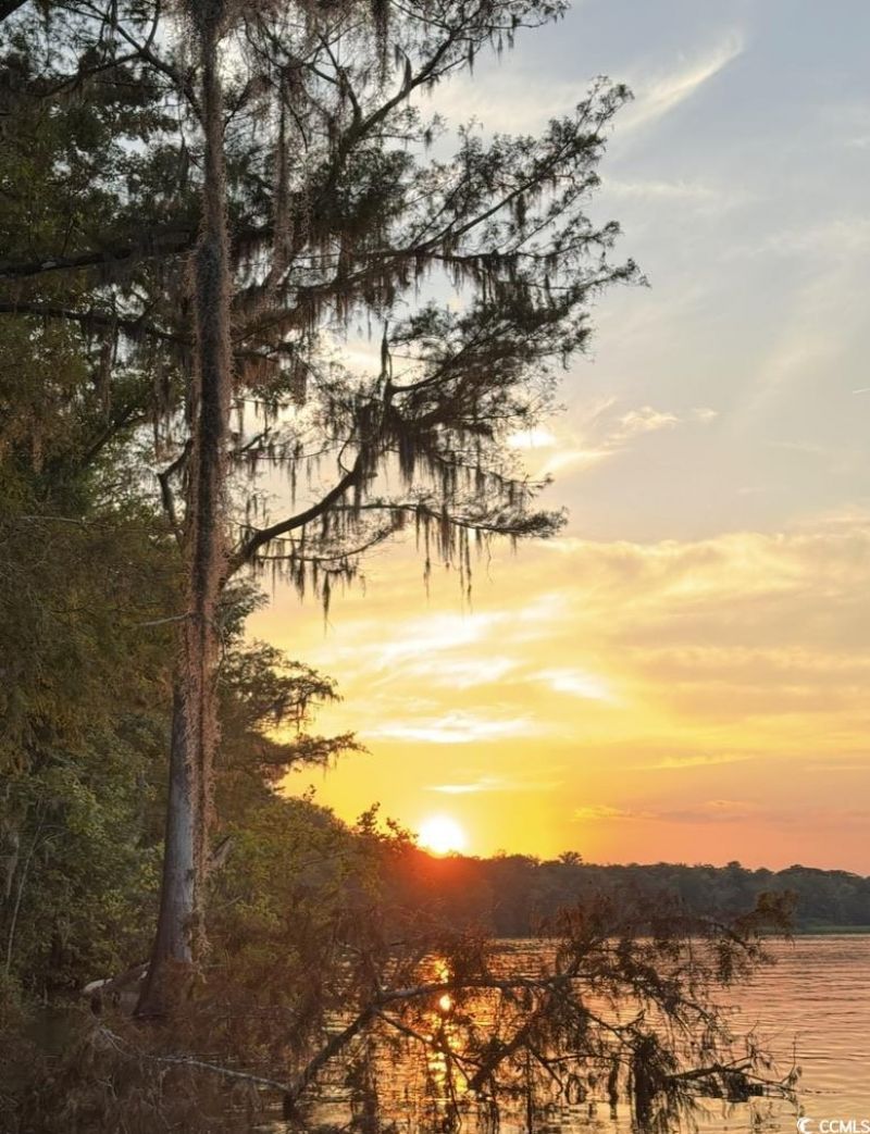 163 Six Mile Creek Dr. Photo 22