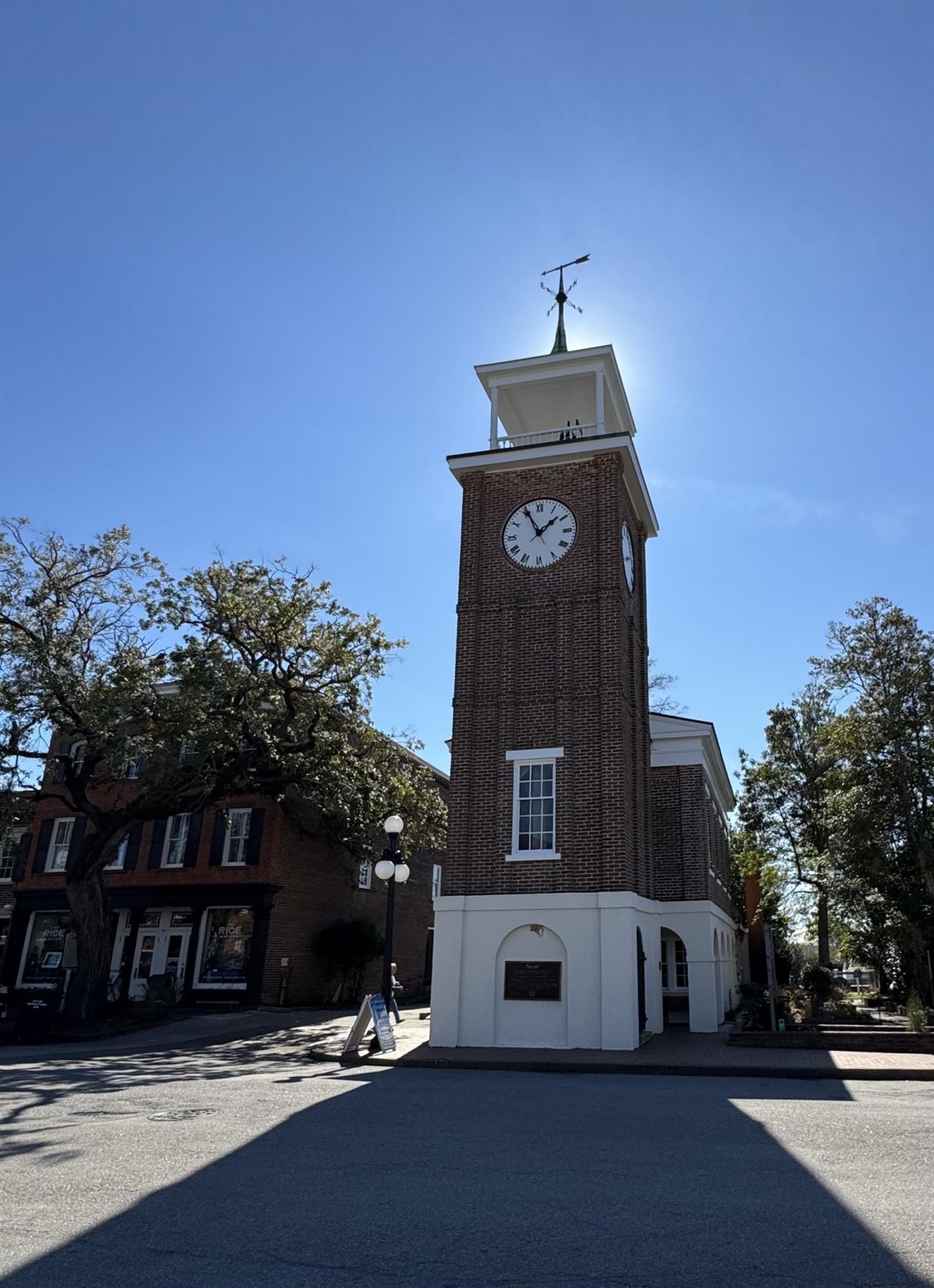 163 Six Mile Creek Dr. Photo 41