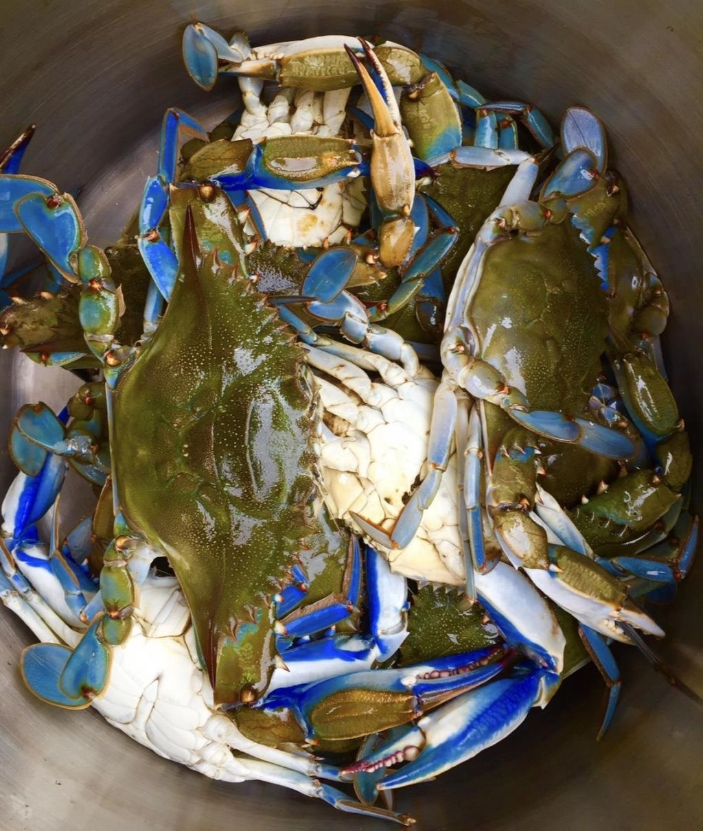 163 Six Mile Creek Dr. Photo 42