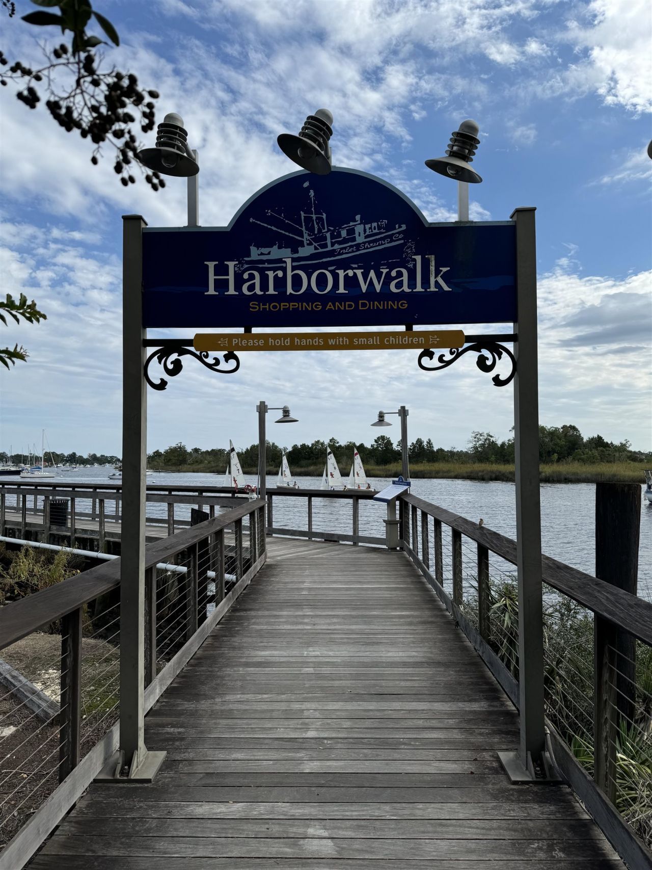 163 Six Mile Creek Dr. Photo 43