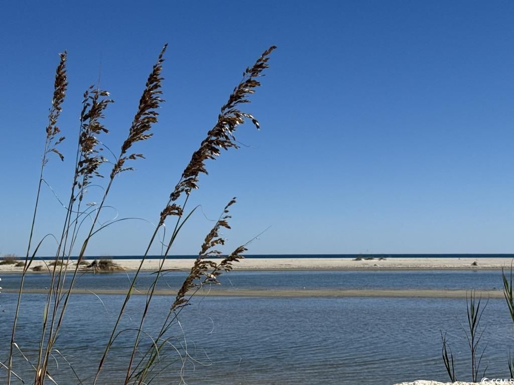 163 Six Mile Creek Dr. Photo 45