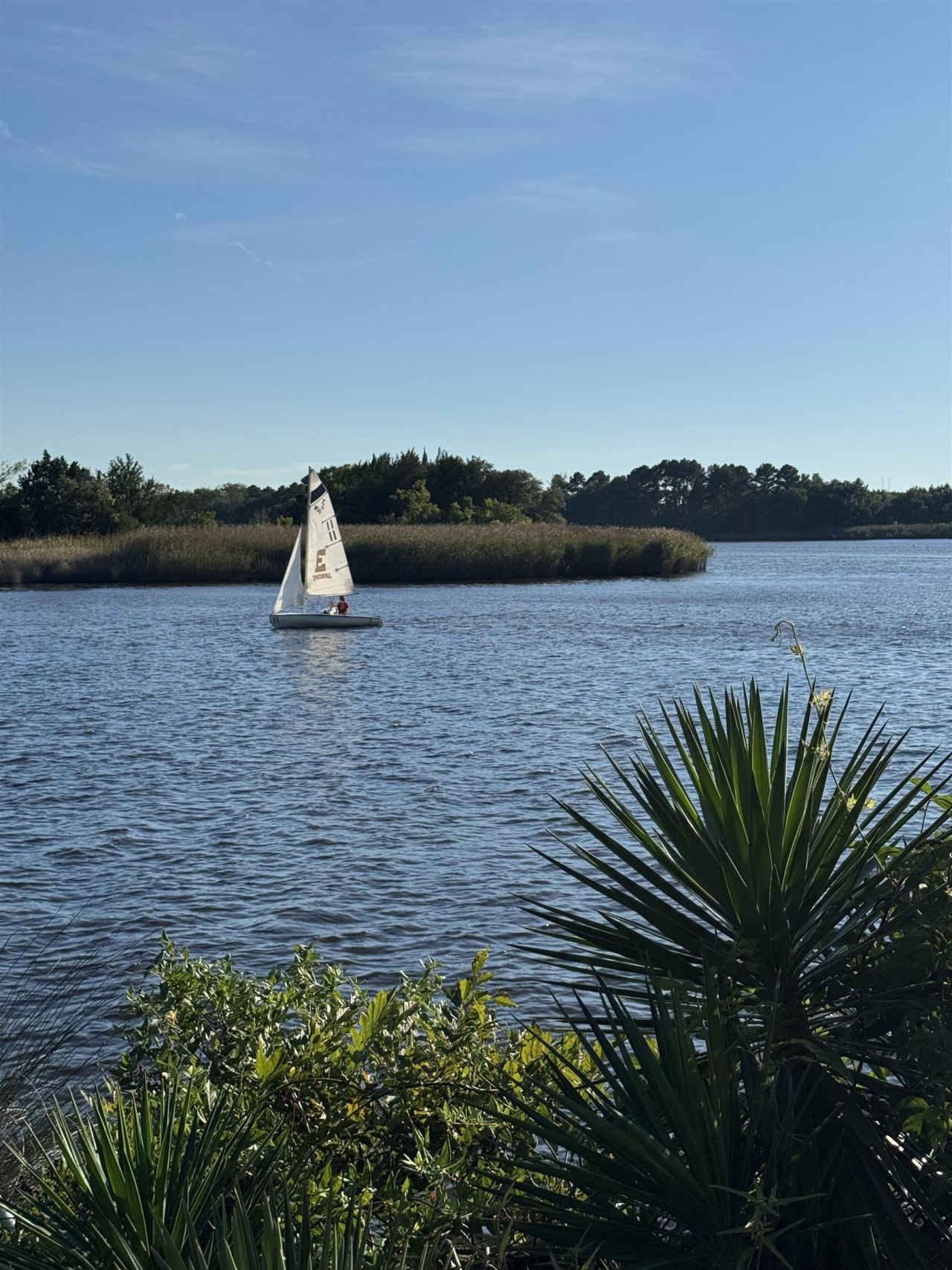 163 Six Mile Creek Dr. Photo 47