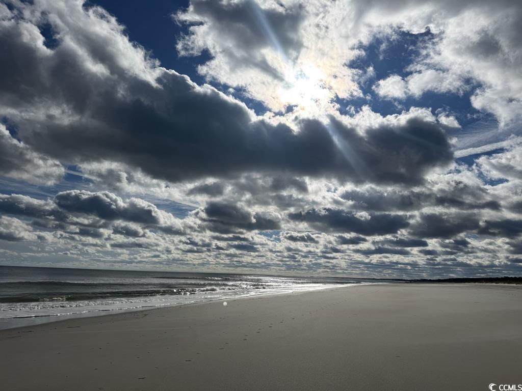 163 Six Mile Creek Dr. Photo 8