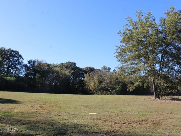 90 Bull Horn Road, Como, MS 38619