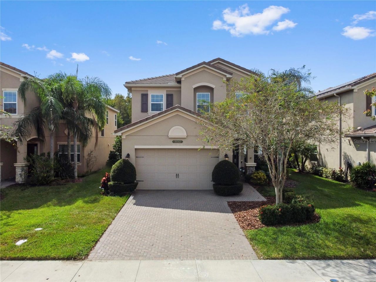30362 Ceasar Park Drive, Wesley Chapel, FL 33543 Main Photo