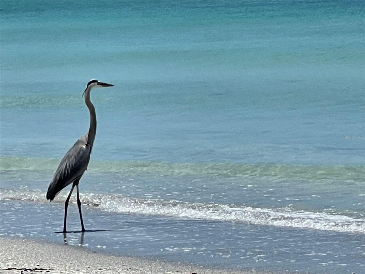 2819 Gulf Of Mexico Drive, Longboat Key, FL 34228 Photo