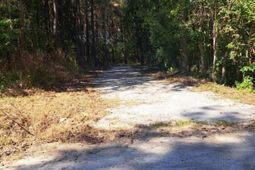 Tbd Southfork Rd. photo 4