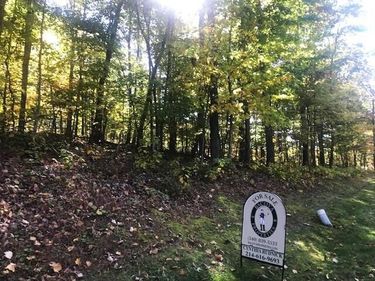 DR #55 North Forest Trl, Hot Springs, VA 24445