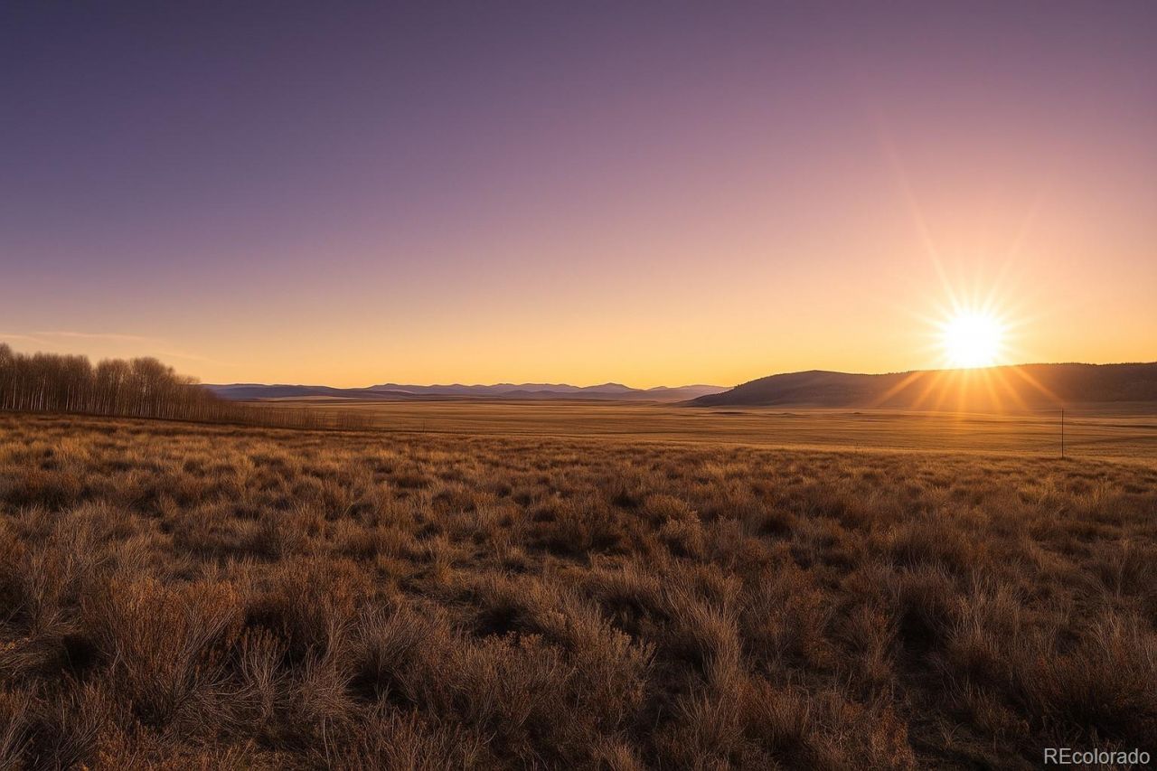 223 Breakneck Pass Road, Fairplay, CO 80440 Main Photo