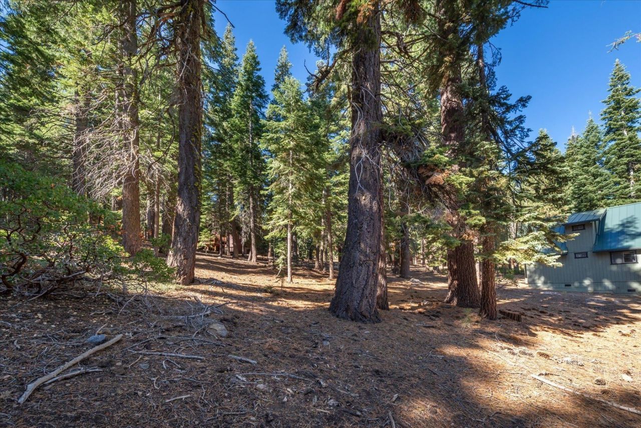 11888 Chamonix Road, Truckee, CA 96161 Photo