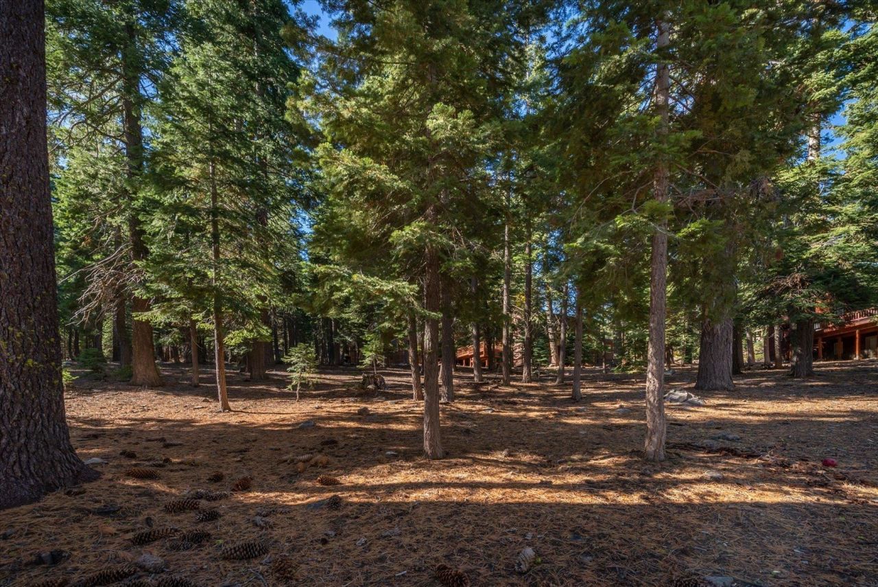 11888 Chamonix Road, Truckee, CA 96161 Photo
