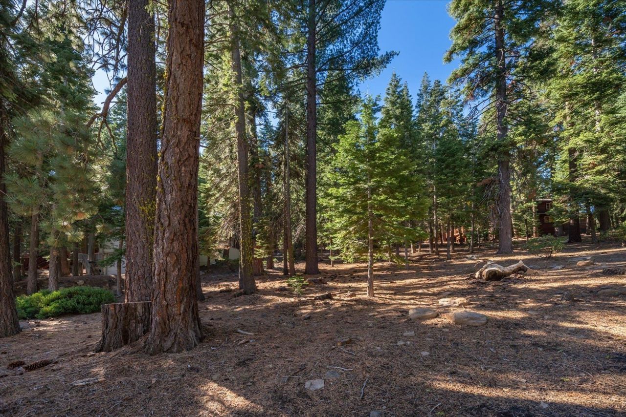 11888 Chamonix Road, Truckee, CA 96161 Photo