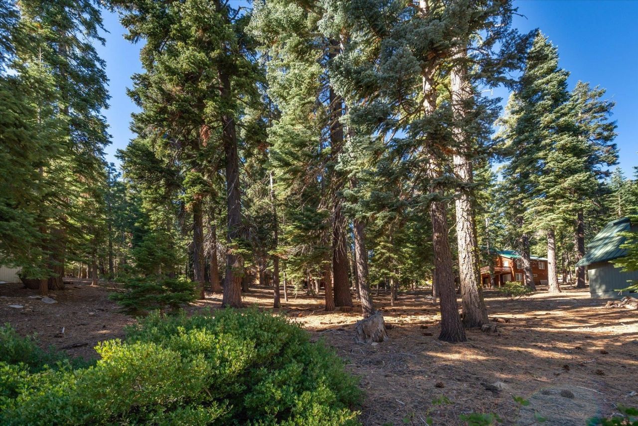 11888 Chamonix Road, Truckee, CA 96161 Photo