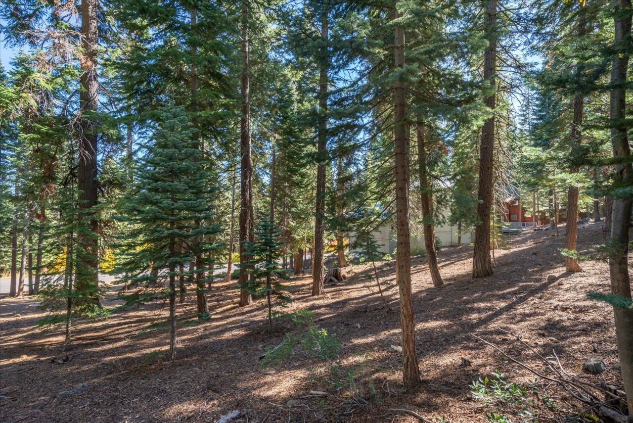 11888 Chamonix Road, Truckee, CA 96161 Photo