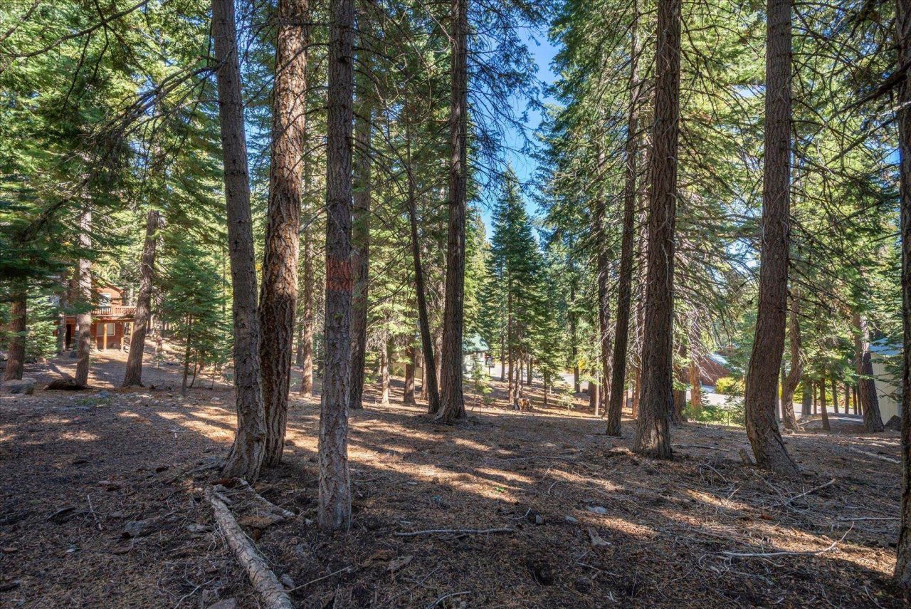 11888 Chamonix Road, Truckee, CA 96161 Photo