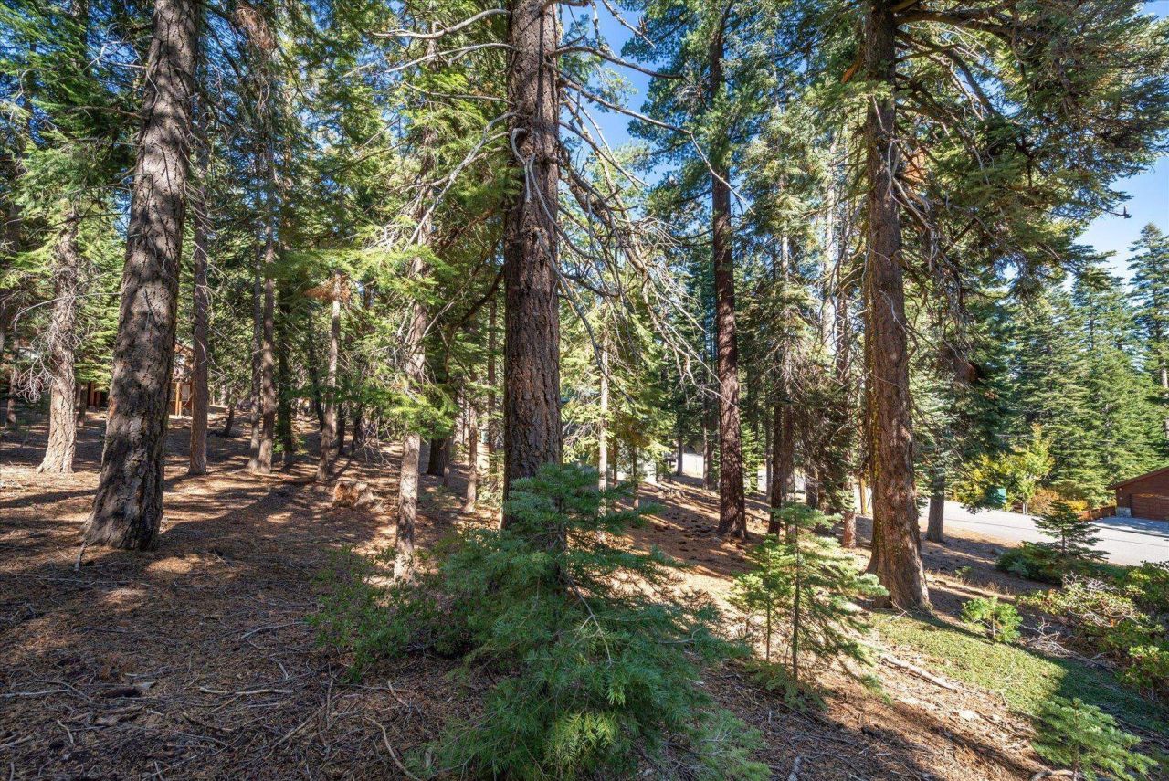 11888 Chamonix Road, Truckee, CA 96161 Photo