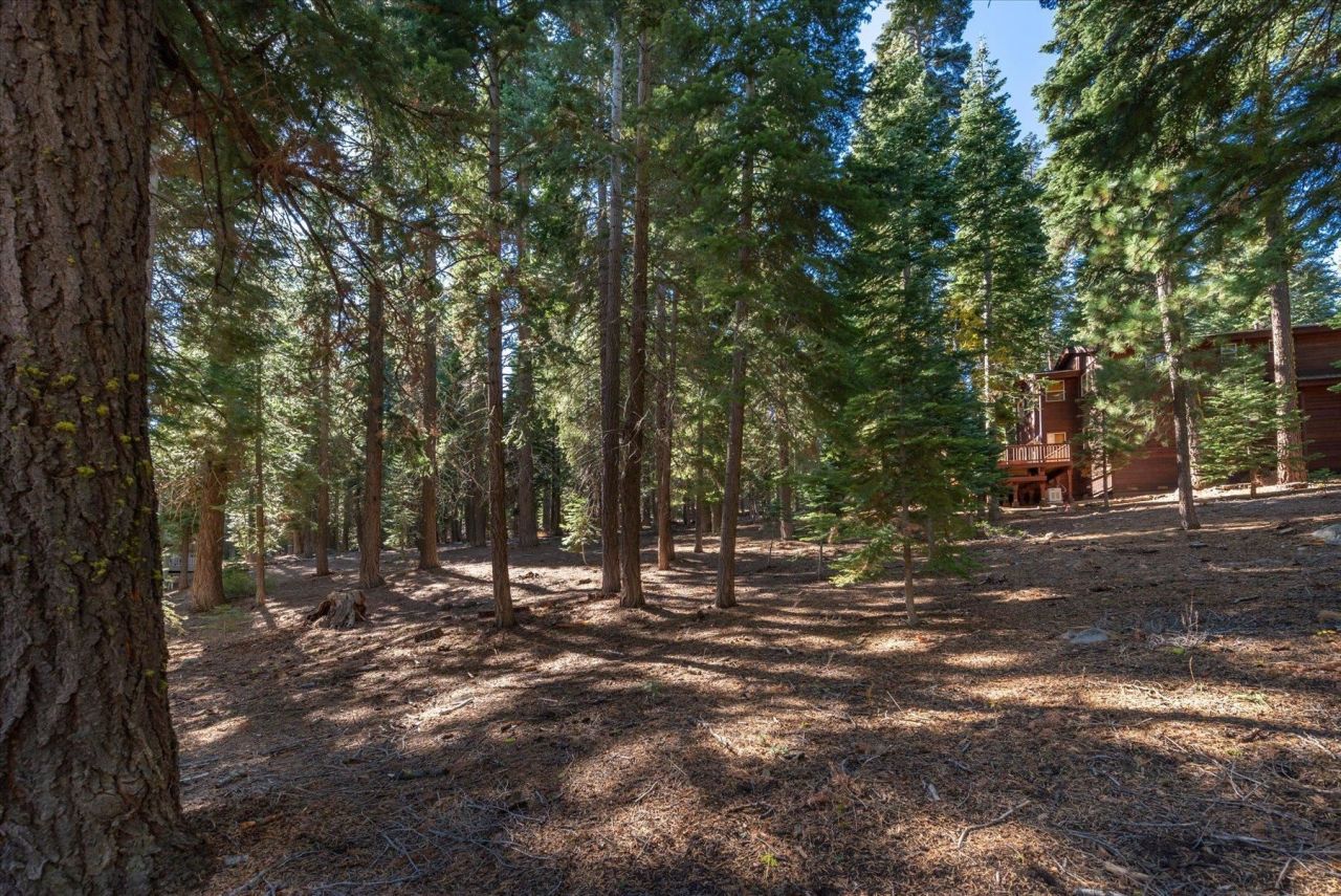 11888 Chamonix Road, Truckee, CA 96161 Photo