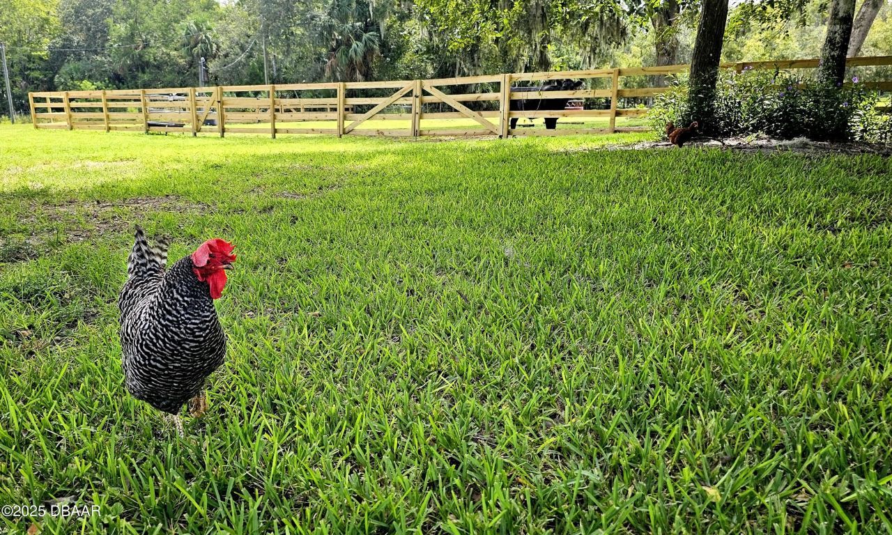 2310 Doster Drive, New Smyrna Beach, FL 32168 Photo