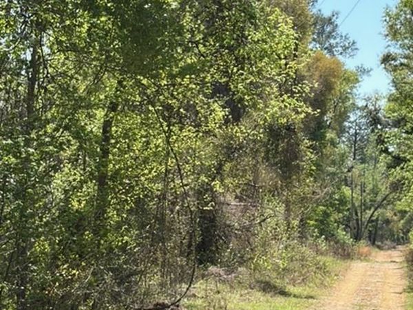 0 NW 22nd Terrace, Jasper, FL 32052