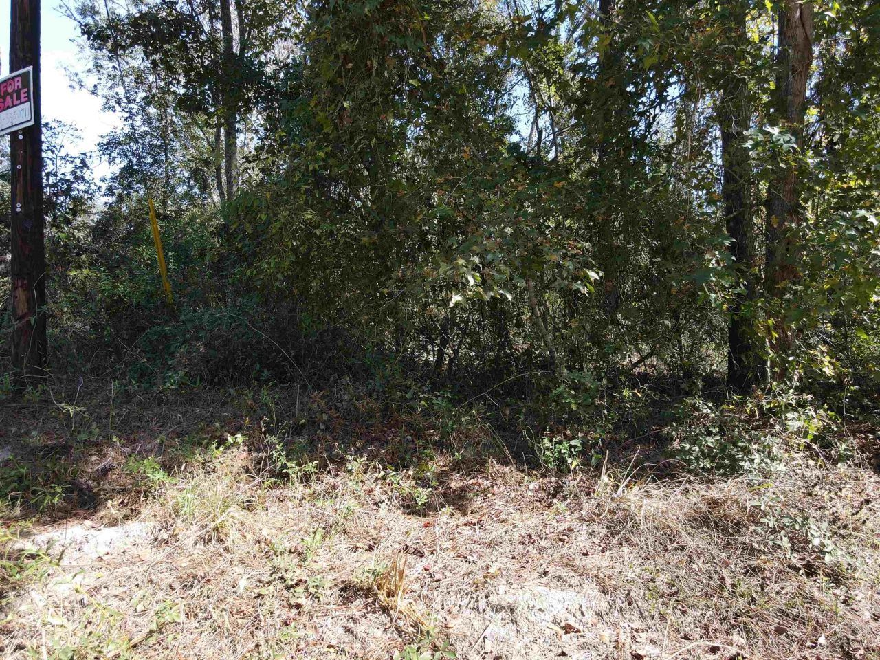 0 NW 22nd Terrace, Jasper, FL 32052 Photo