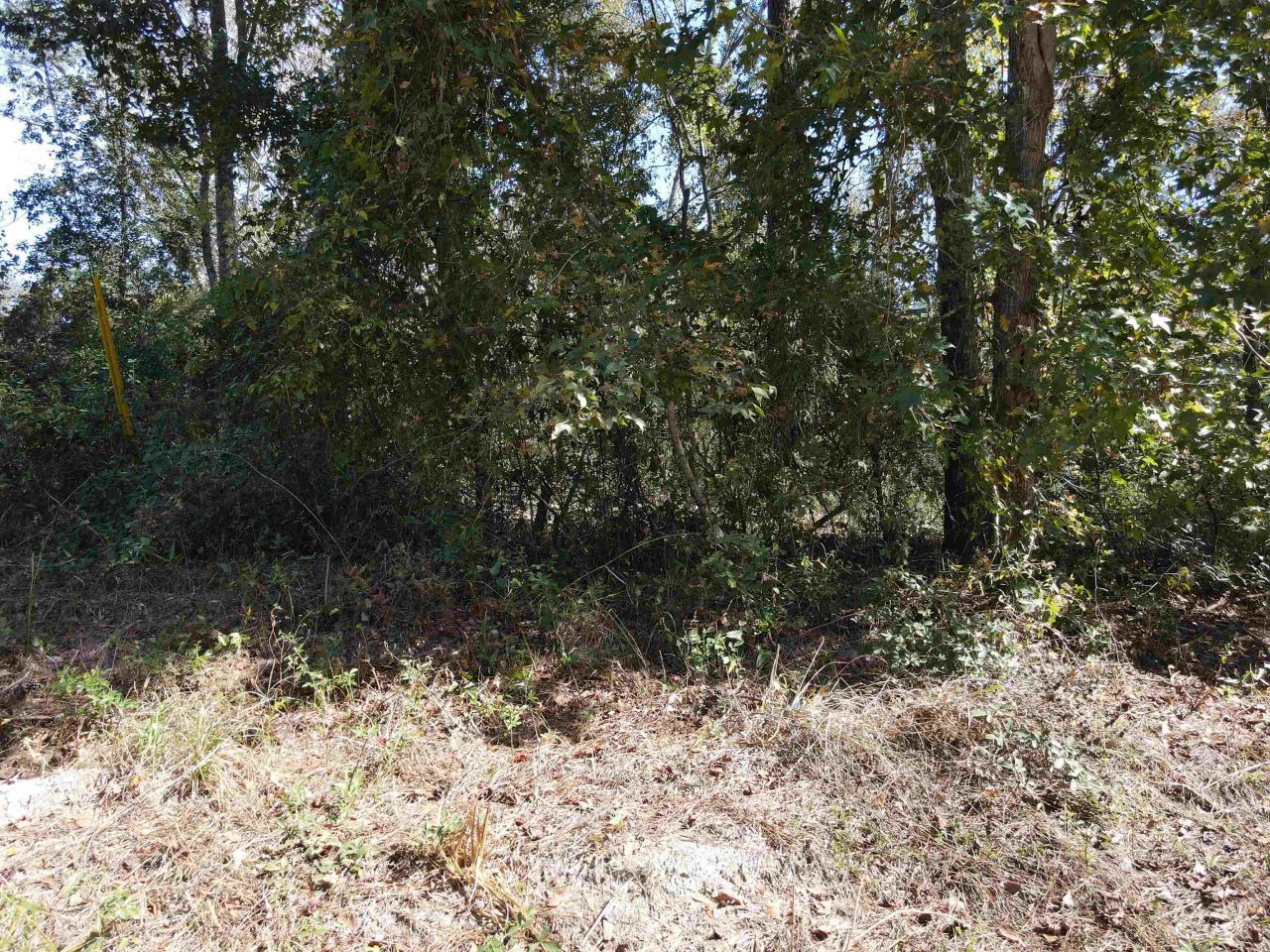 0 NW 22nd Terrace, Jasper, FL 32052 Photo