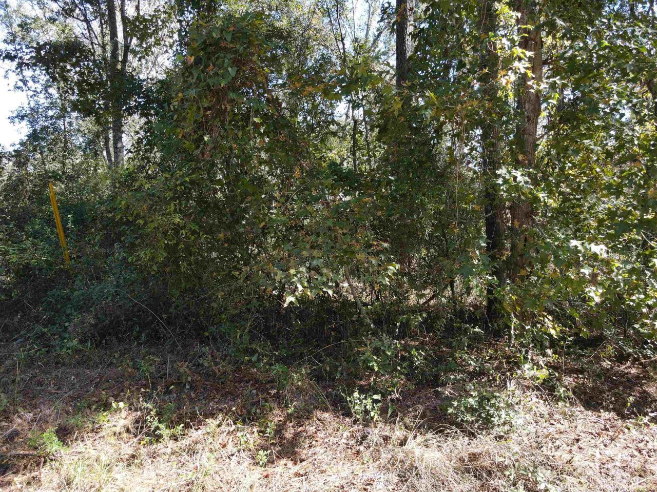 0 NW 22nd Terrace, Jasper, FL 32052 Photo