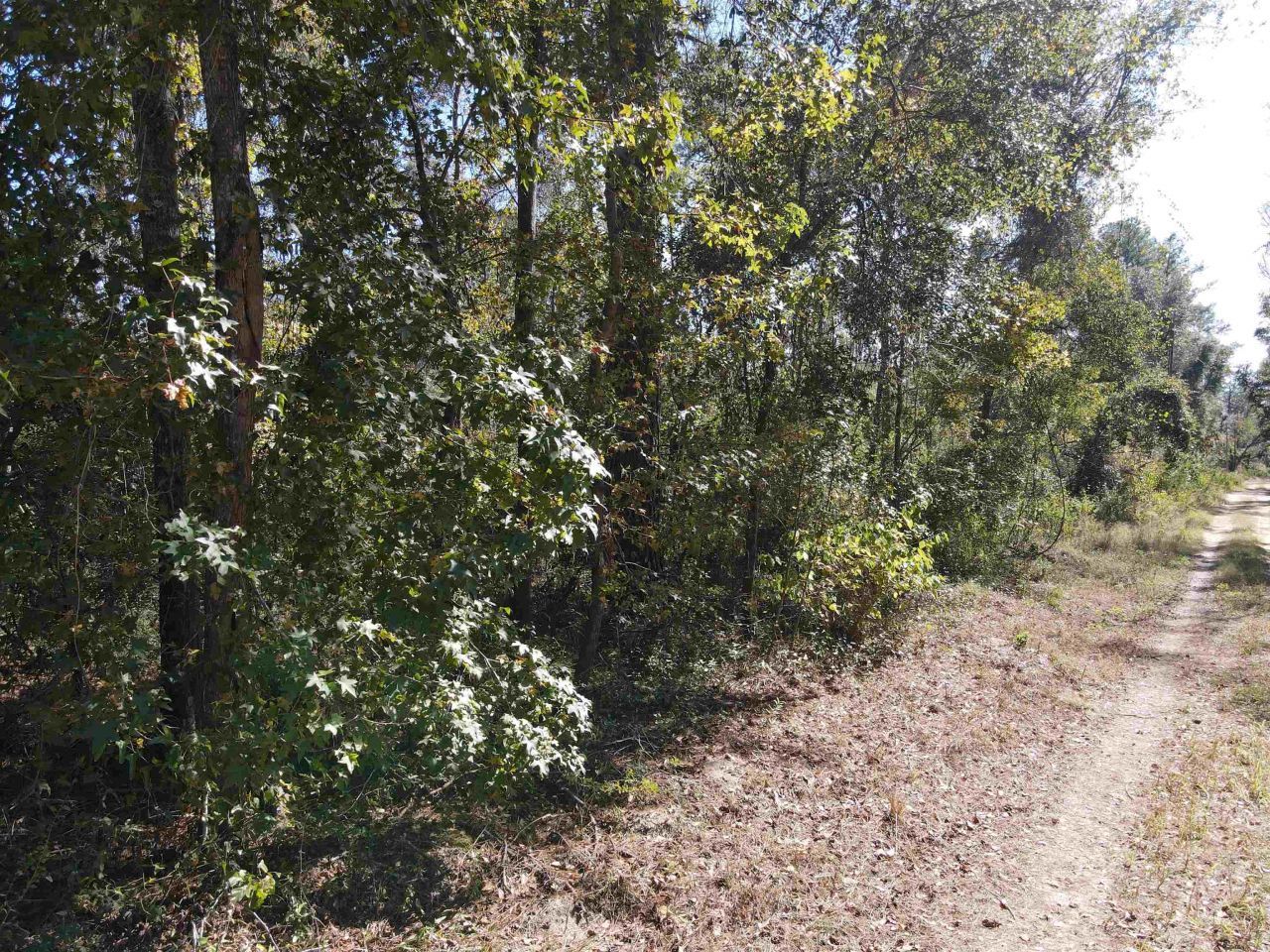 0 NW 22nd Terrace, Jasper, FL 32052 Photo