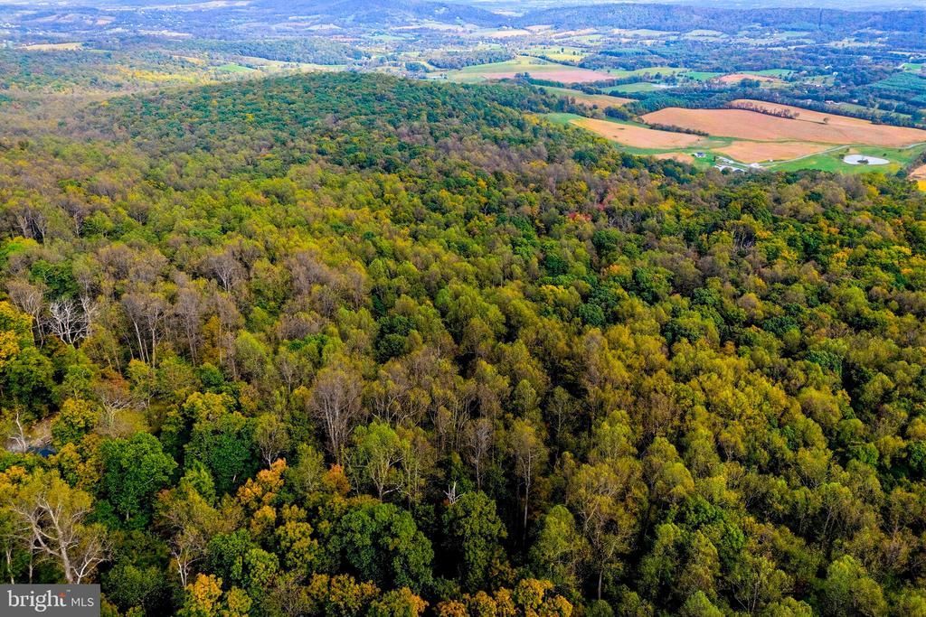 Appalacian Trail Road, Round Hill, VA 20141 Main Photo