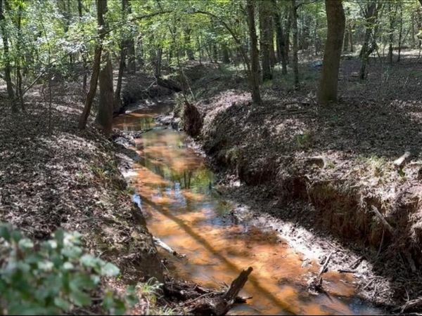 TBD-D County Road 4172D , Laneville, TX 75667