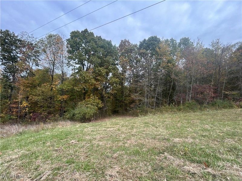 0 Pert Hill Road, Nashport, OH 43830 Photo 12