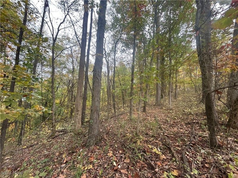 0 Pert Hill Road, Nashport, OH 43830 Photo 13