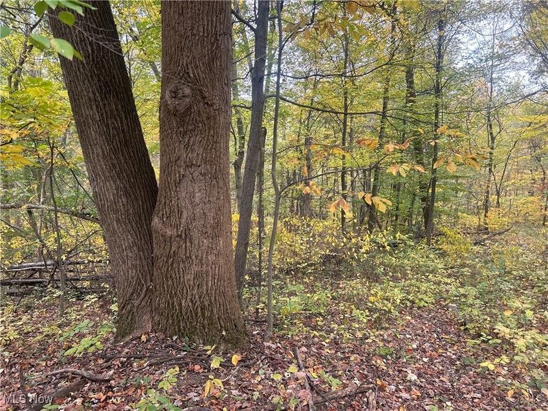 0 Pert Hill Road, Nashport, OH 43830 Photo 15