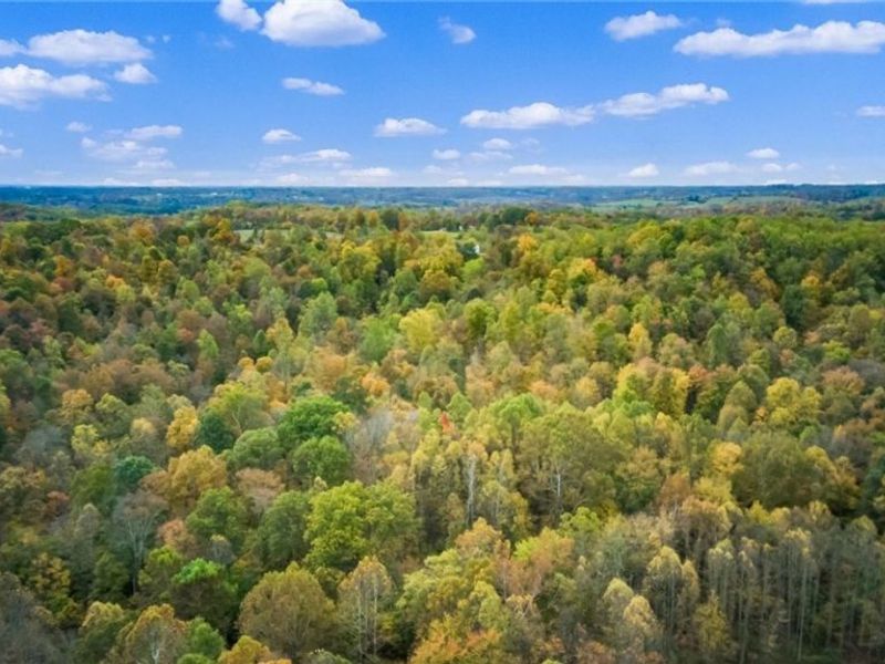 0 Pert Hill Road, Nashport, OH 43830 Photo 6