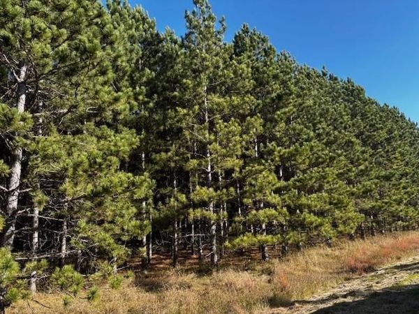 xxx Emerald Court NE, Carlos, MN 56319