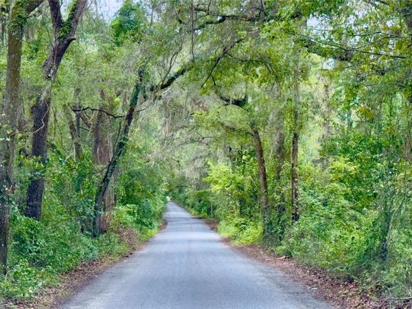 20815 NW 62ND AVENUE, NEWBERRY, FL 32669