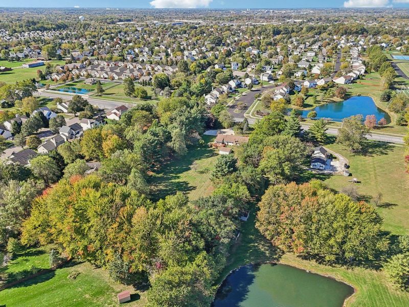 6685 Tussic Street Road, Westerville, OH 43082 Photo 70