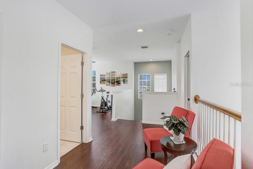 10026 Seymour Way, Tampa, FL 33626 Photo