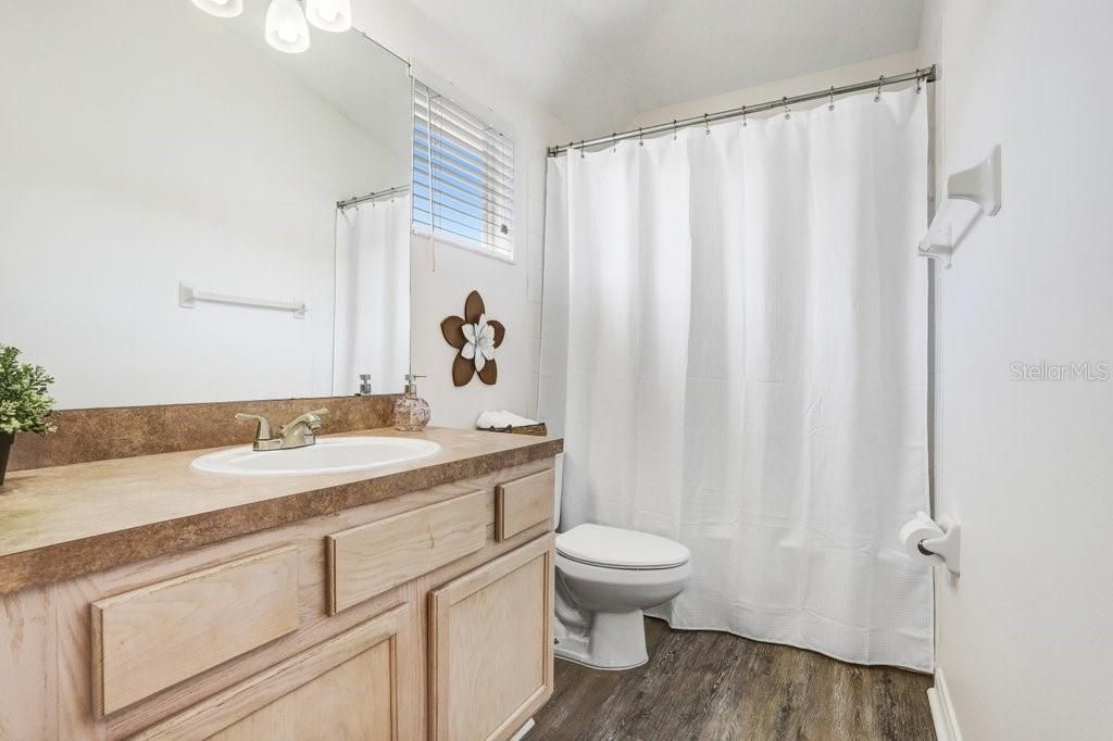 10026 Seymour Way, Tampa, FL 33626 Photo