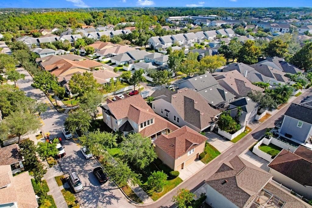 10026 Seymour Way, Tampa, FL 33626 Photo