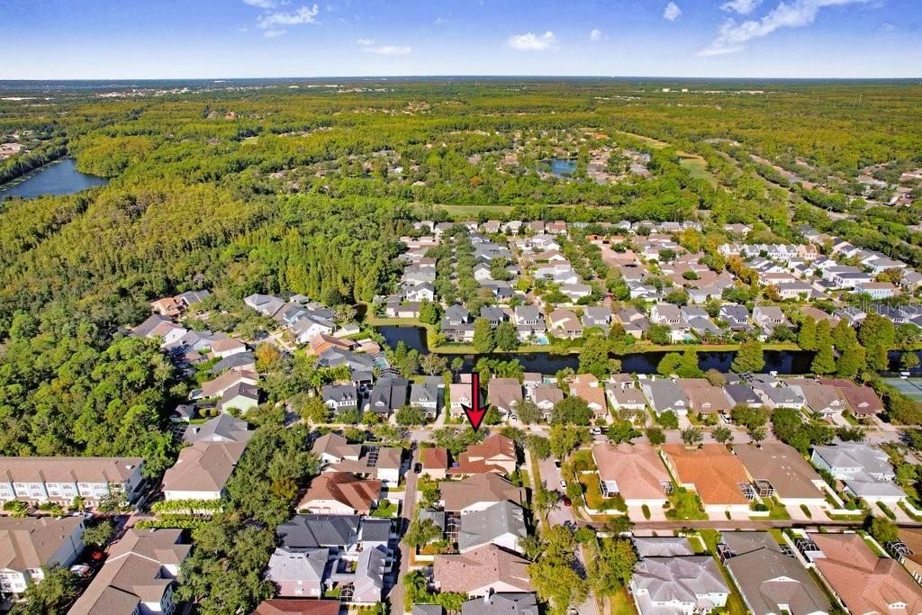 10026 Seymour Way, Tampa, FL 33626 Photo