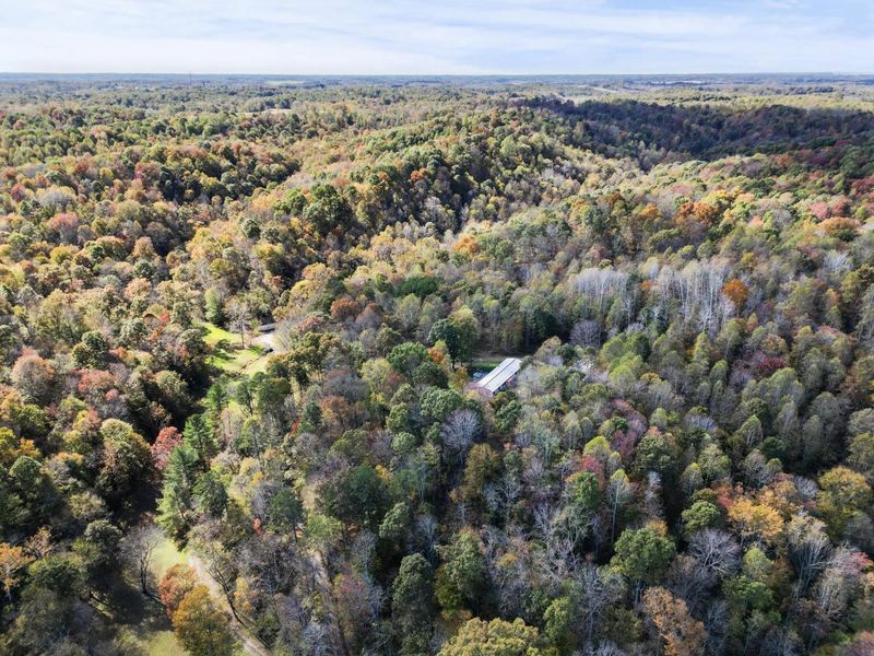 1025 Smokey Hollow Road, Thurman, OH 45685 Photo 6