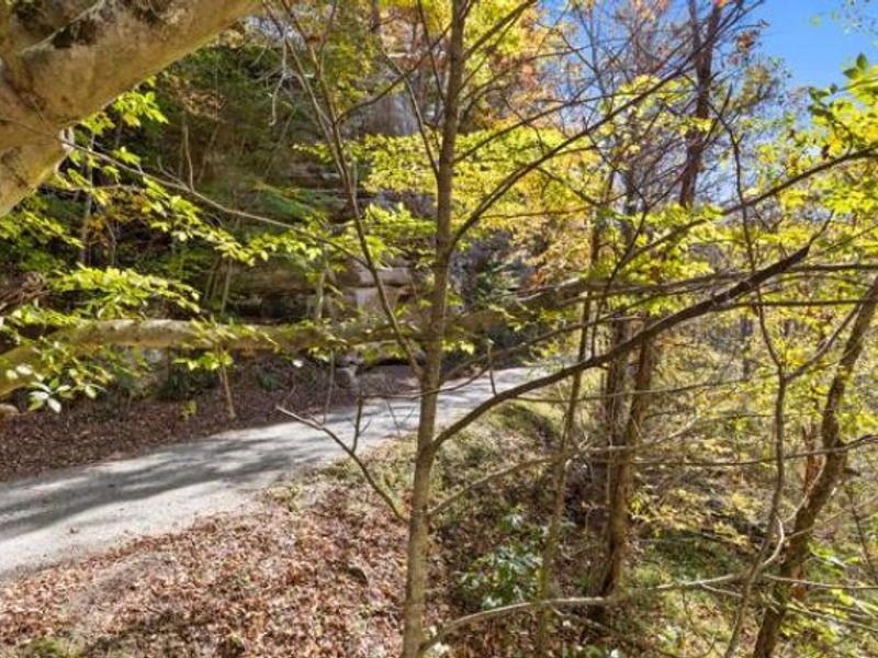 1025 Smokey Hollow Road, Thurman, OH 45685 Photo 8