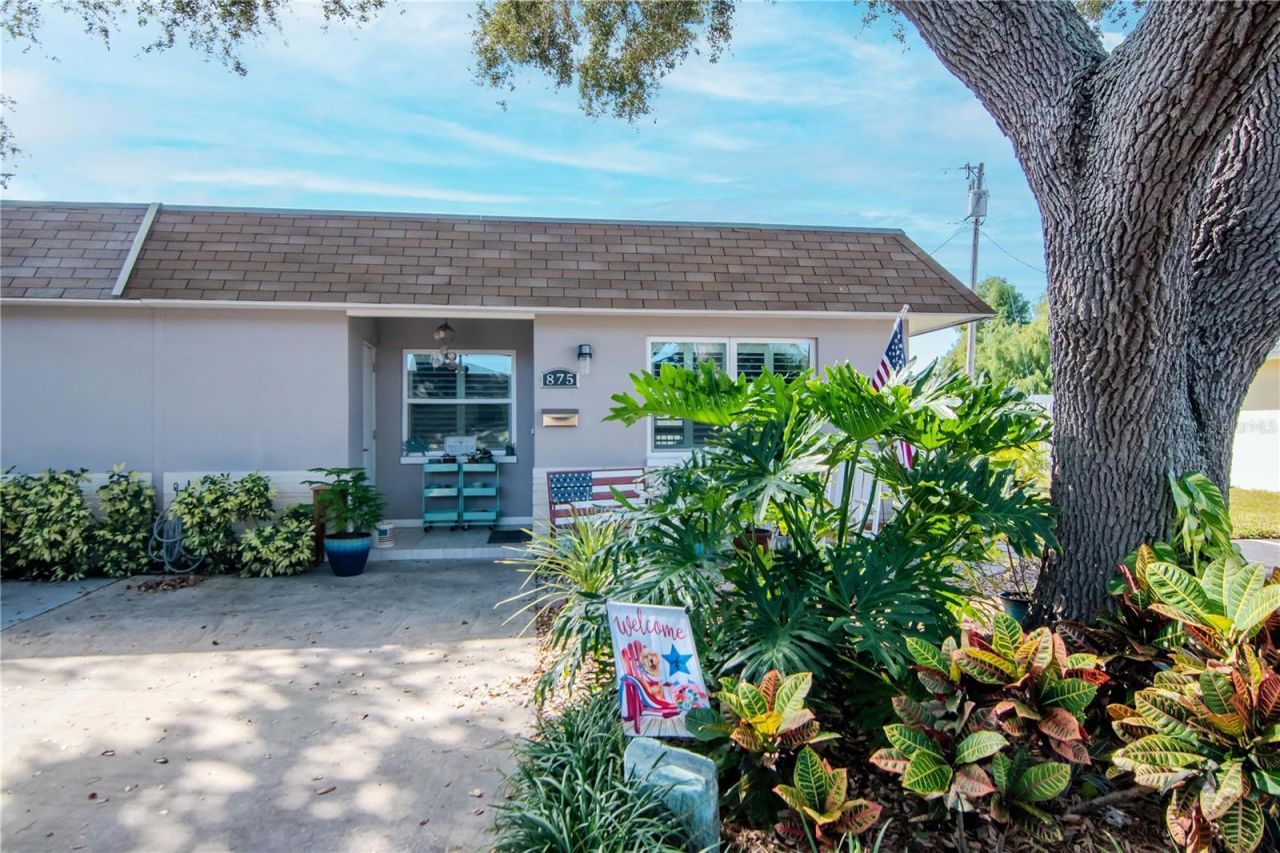 875 Sky Loch Drive S, Dunedin, FL 34698 Main Photo