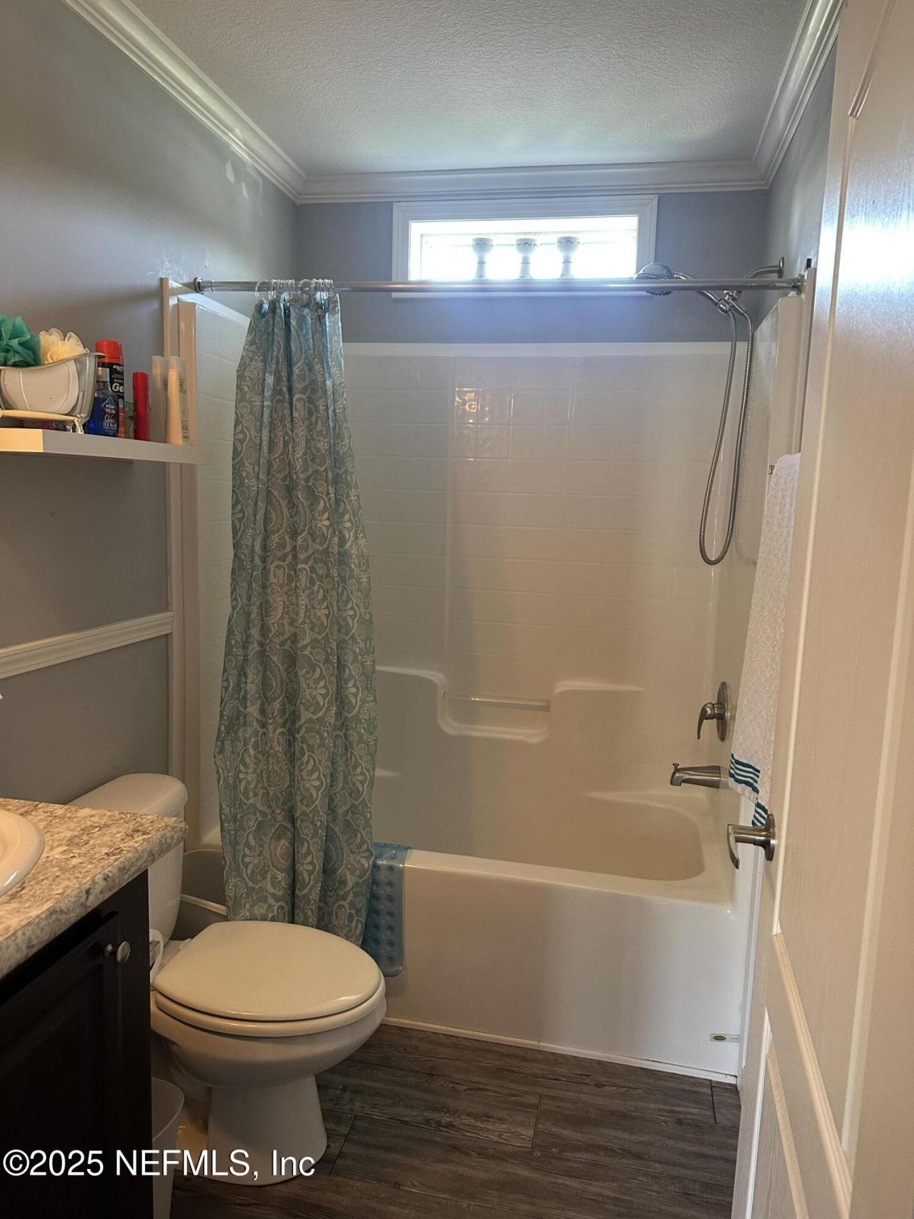 156 Lake Margo Drive, Satsuma, FL 32189 Photo