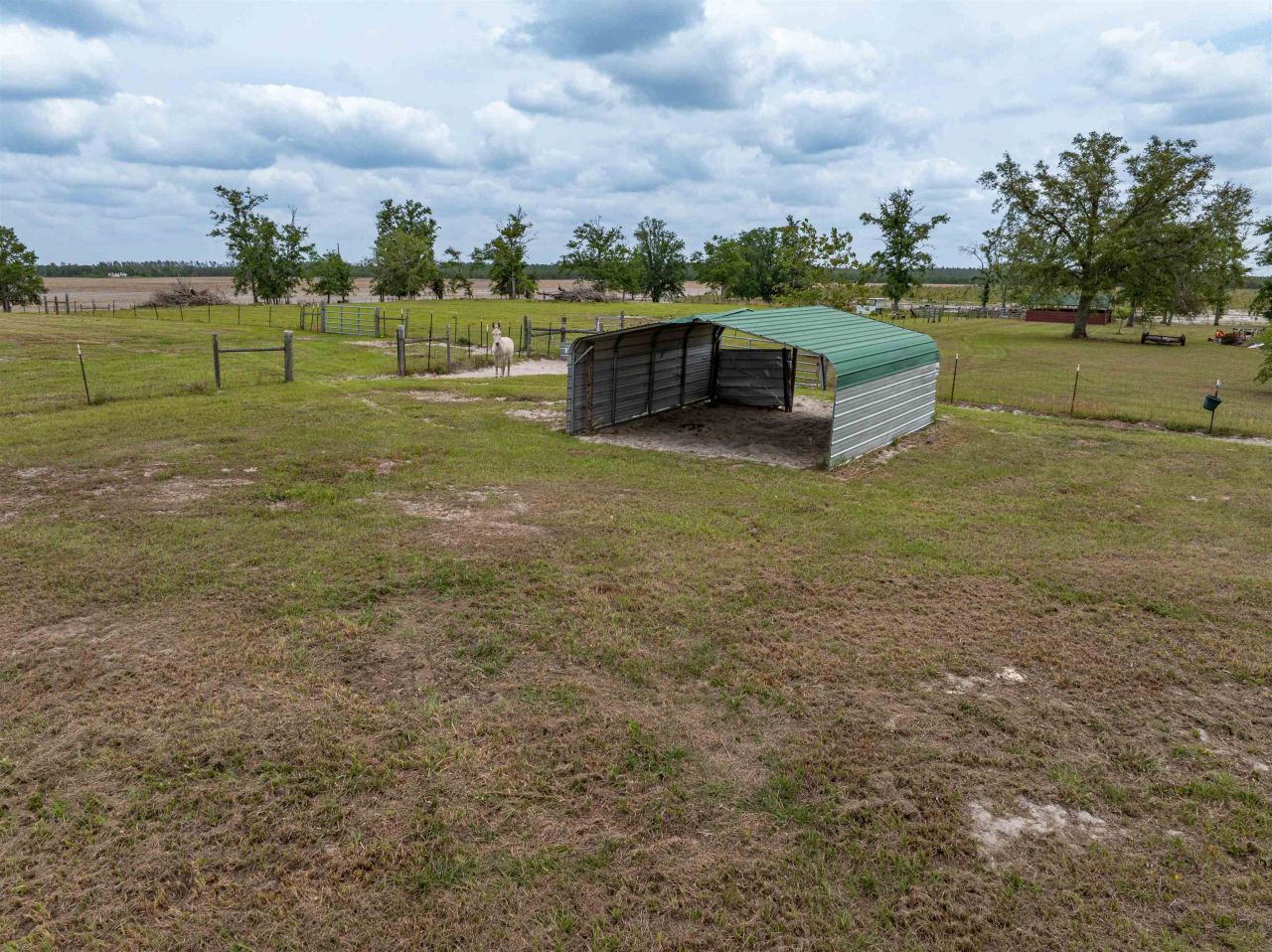 6676 SE Cr 255, Lee, FL 32059 Photo